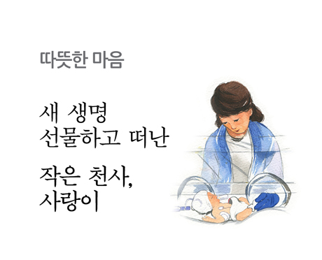 따뜻한 마음
