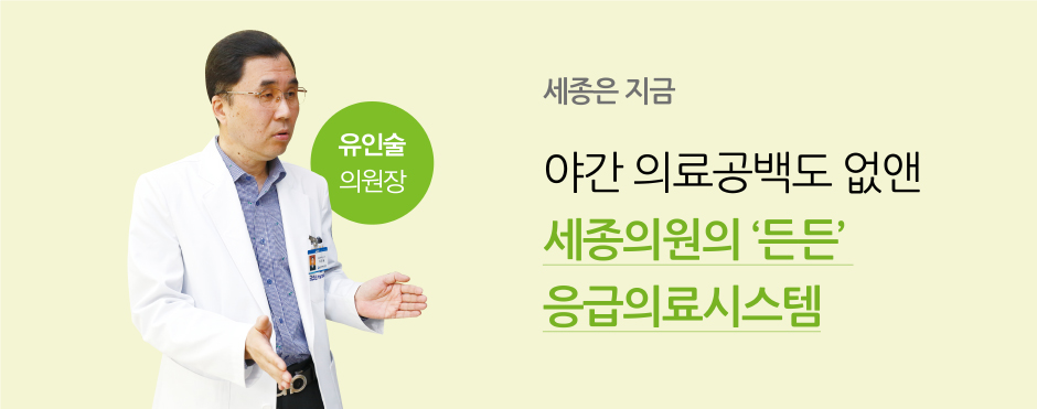 세종은 지금