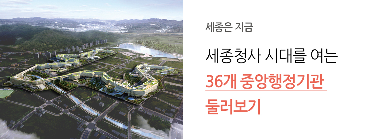 세종은 지금