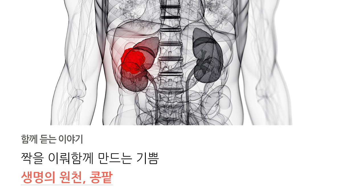 함께듣는 이야기
