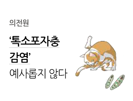 의전원