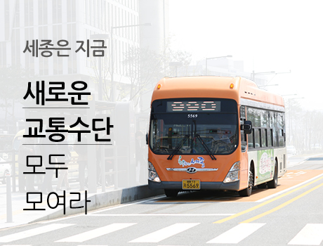 세종은 지금