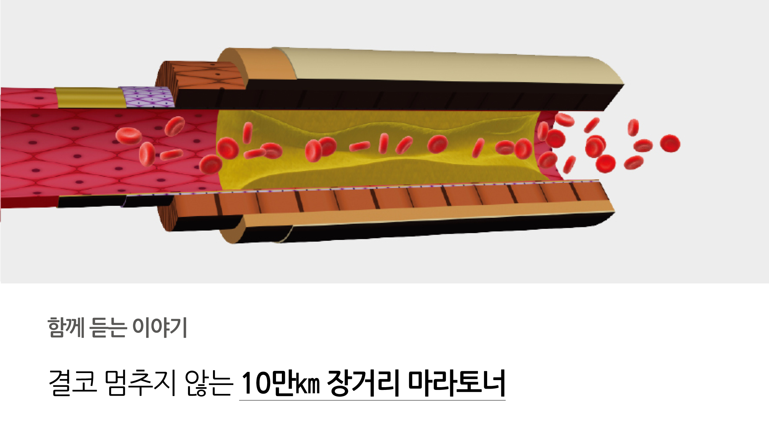함께듣는 이야기