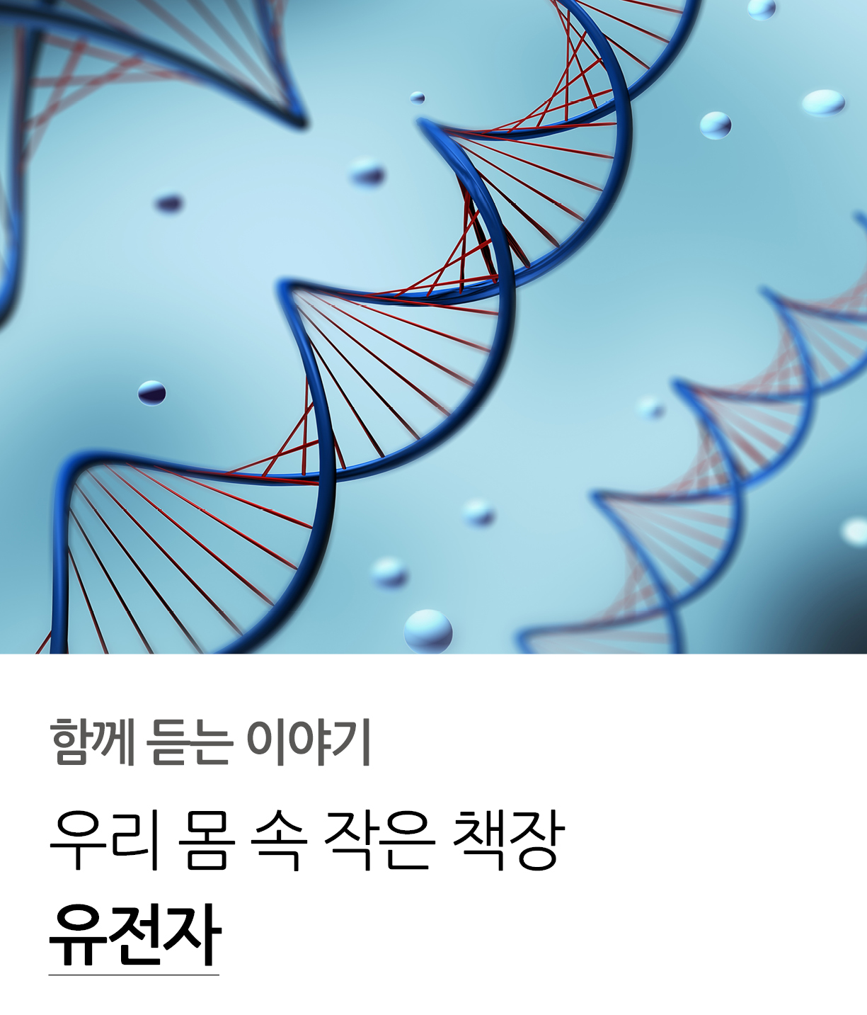함께듣는 이야기