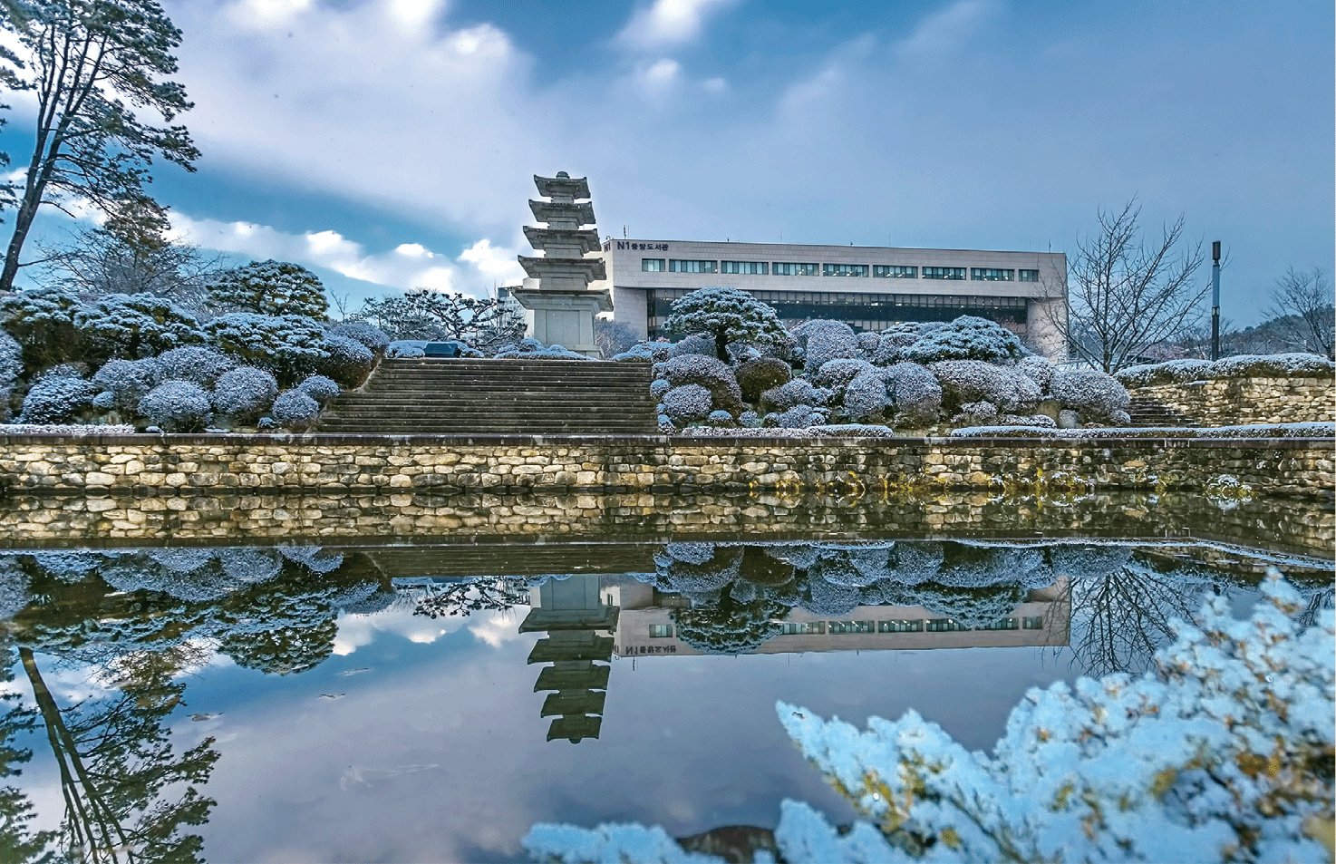 사진
