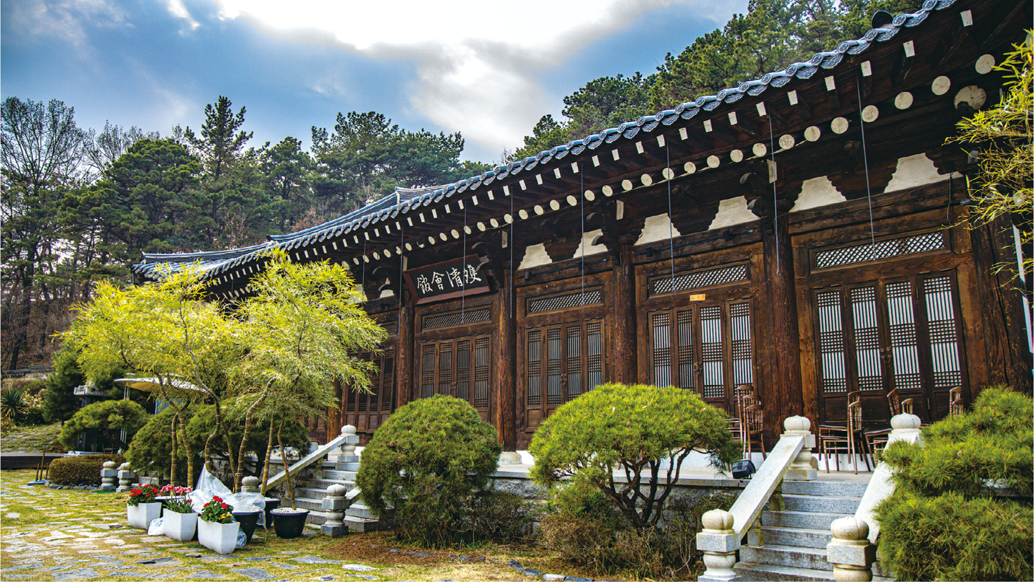 사진