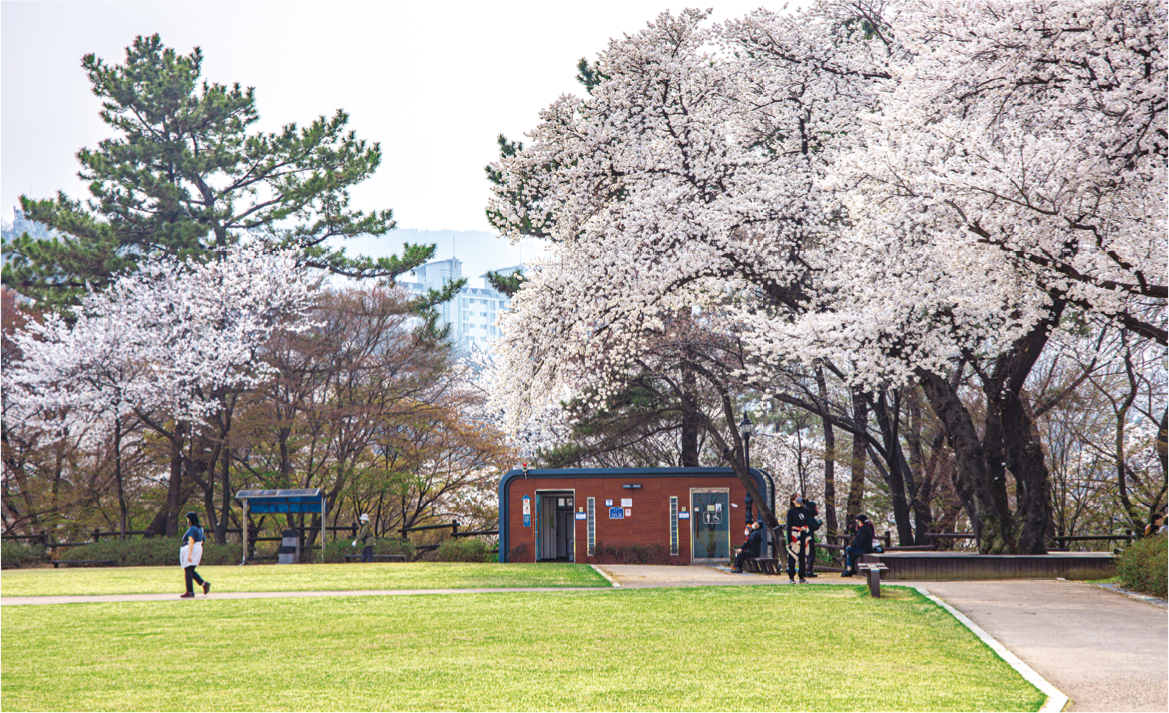 사진