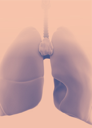 함께하는 CNUH