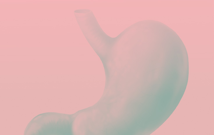함께하는 CNUH