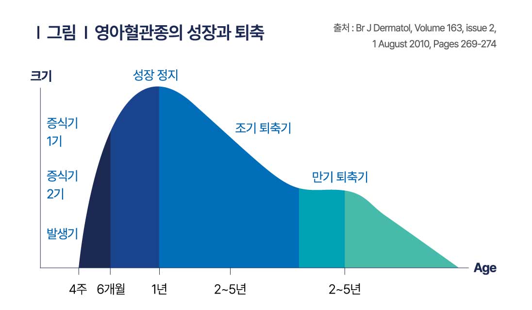 혈관종 성장 그래프